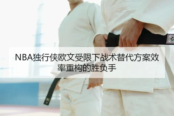 du-xing-xia-ou-wen-shou-xian-xia-zhan-shu-ti-dai-fang-an-xiao-lv-zhong-gou-de-sheng-fu-shou-2-704.jpg